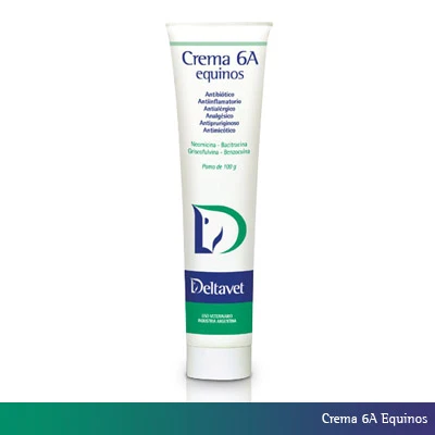 Crema 6A equinos