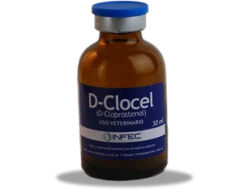 D-Clocel