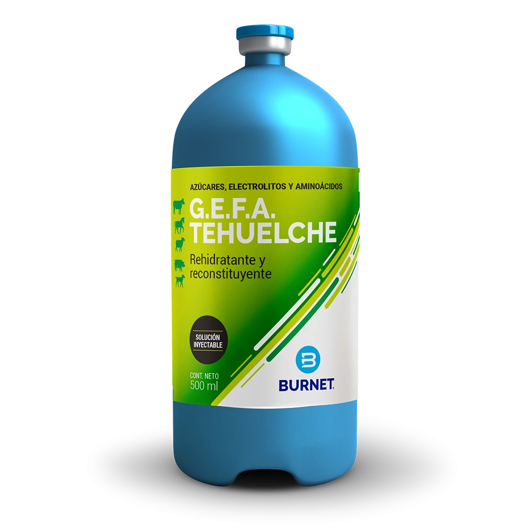 G.E.F.A. Tehuelche