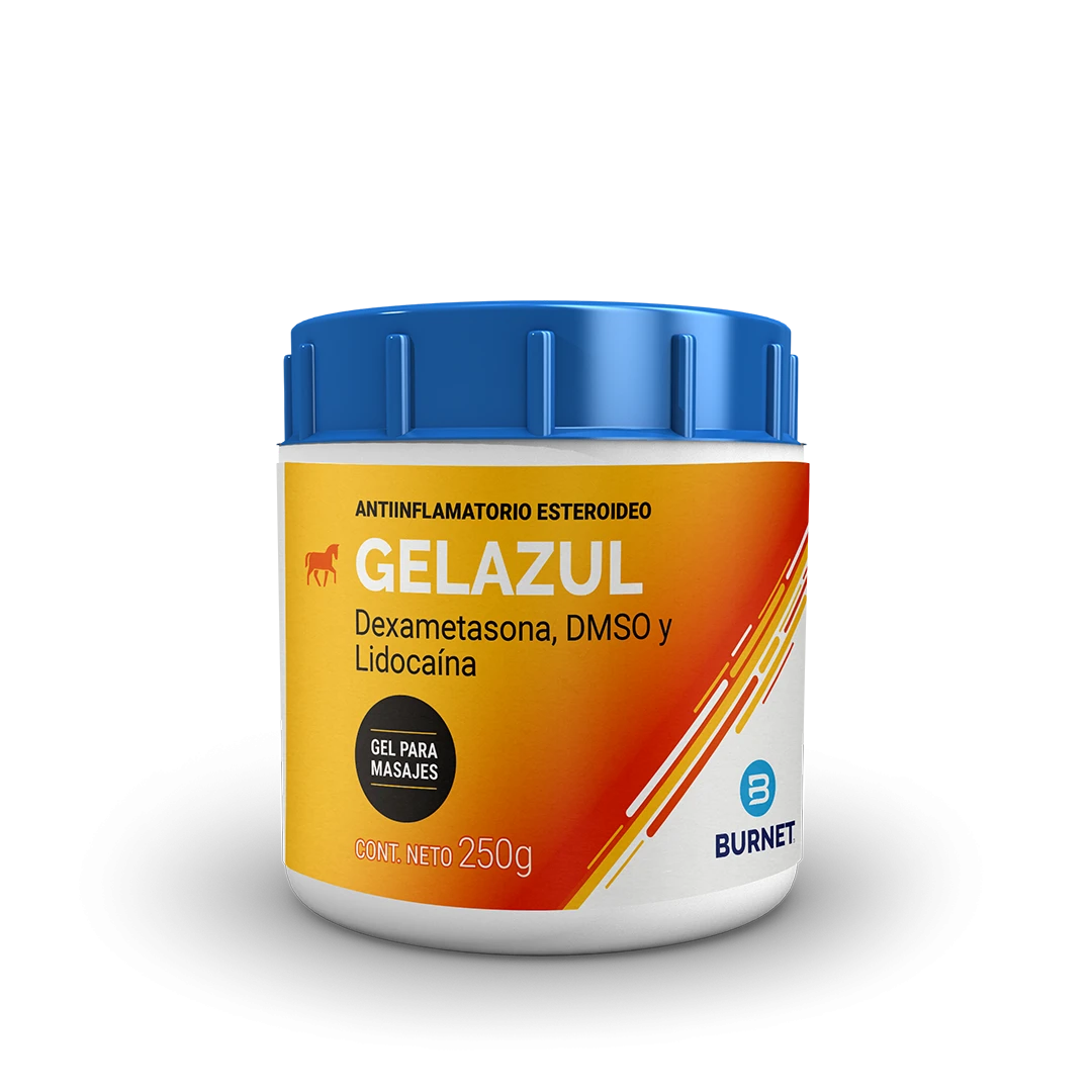 Gel Azul