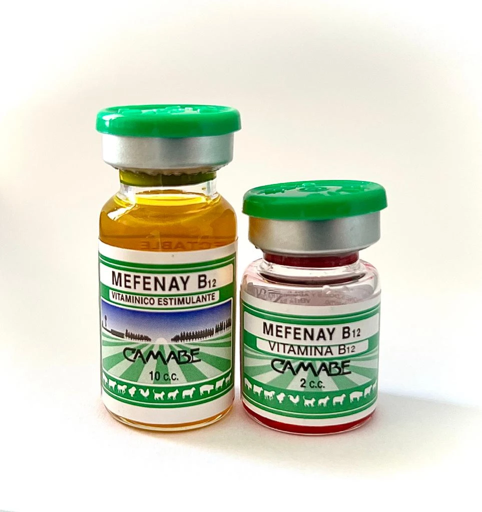 Mefenay B12
