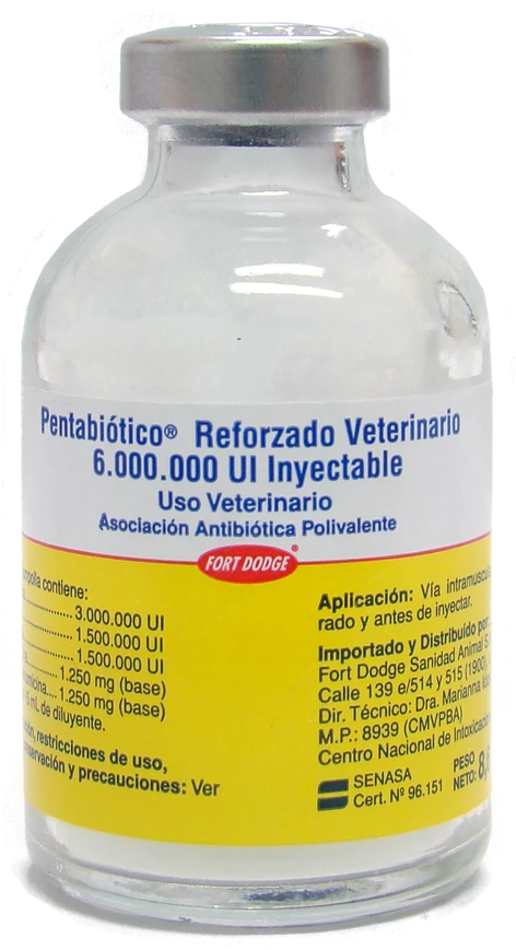 Pentabiotico Reforzado 6,000,000 UI